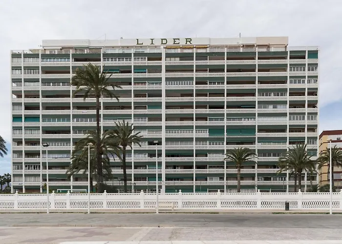 Daire Lider, 5-c *